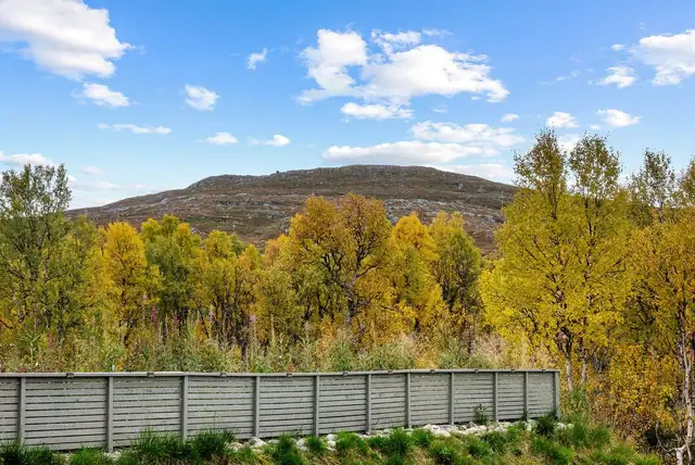 Naturskjønn & innholdsrik hytte i Vauldalen. Kort til Sverige. Stor terrasse på 51 m². Nær skiløyper, fjell og vann. — bilde 3