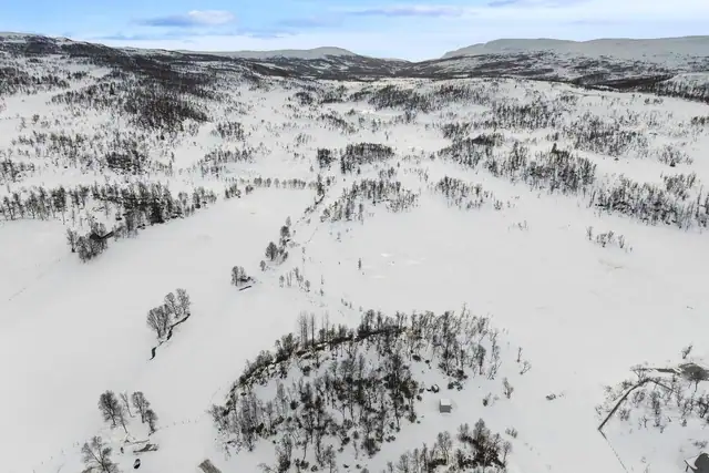 Tomt Borrvegen