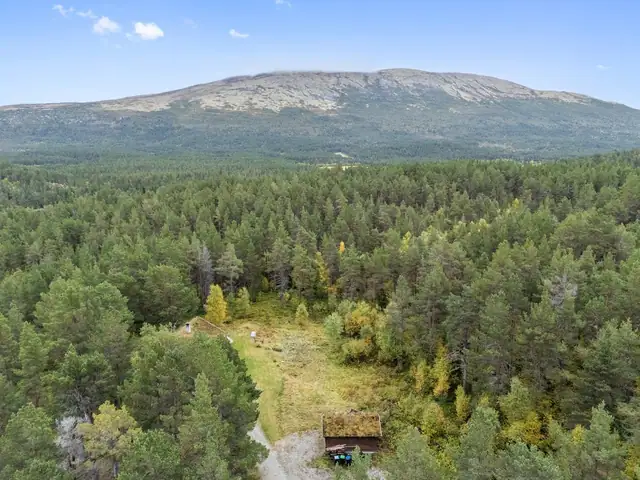 Sjarmerende og innholdsrik bolig med naturskjønne omgivelser. Kort vei til Os sentrum. 4 soverom. Garasje. Nytt kjøkken! — bilde 8
