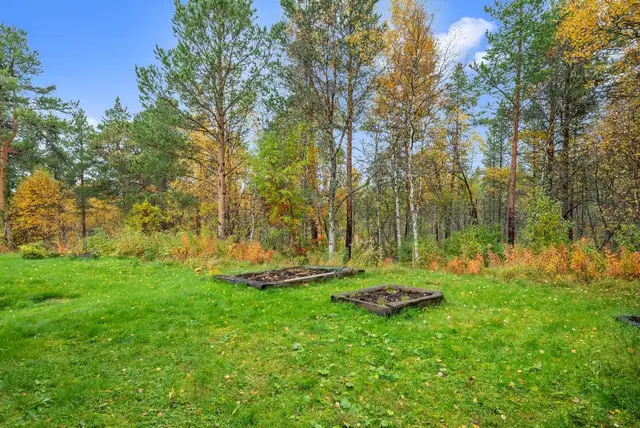 Enebolig i naturskjønne omgivelser. Gode solforhold. 3 soverom. Garasje. Kort vei til Røros sentrum. Ingen boplikt! — bilde 4